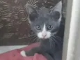 LELÉCO