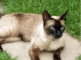 Kit