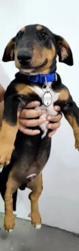 Doug
