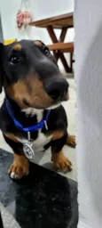 Doug
