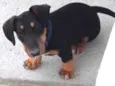 Doug