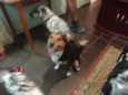 Ruck