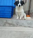 NICK