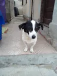 NICK