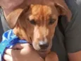 Léo 