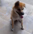 Aika