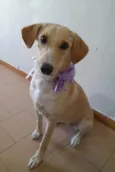 Nena
