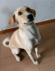 Nena