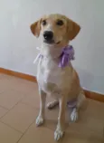Nena