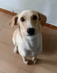 Nena
