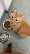 Mel 
