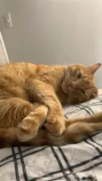Mel