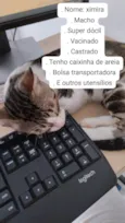 Ximira