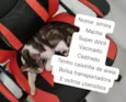 Ximira