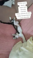 Ximira