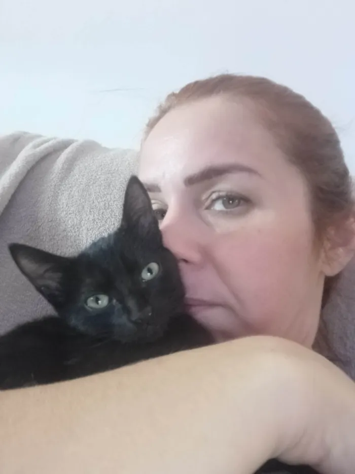 Gato ra a SRD-ViraLata idade 2 a 6 meses nome Salem e Salete