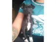 Pretinha 