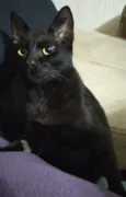 LINDEZO
