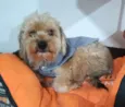 MIOJO