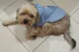 MIOJO