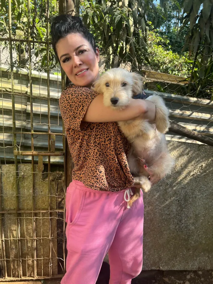 Cachorro ra a SRD-ViraLata idade 2 a 6 meses nome Júlio César 