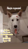 Bartolomeu
