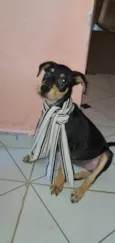 Lola