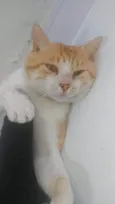 Boris