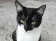 Milly