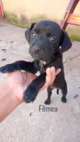 Mocinhas