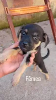 Mocinhas