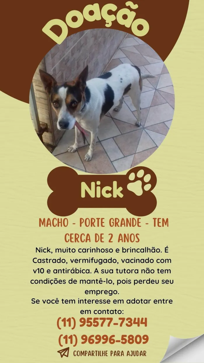 Cachorro ra a SRD-ViraLata idade 2 anos nome Nick