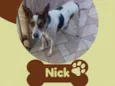 Nick