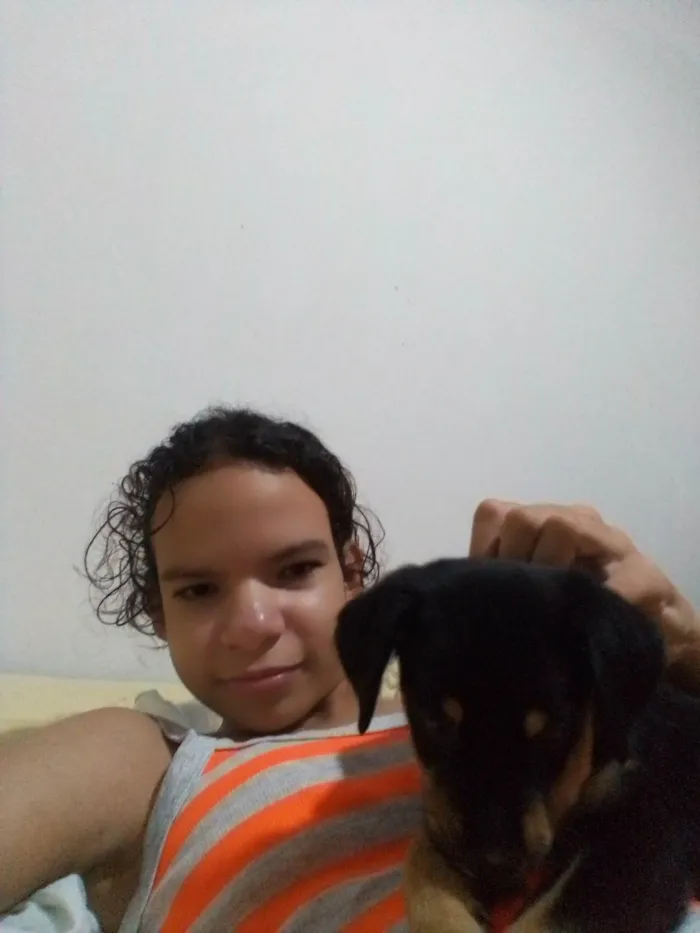 Cachorro raça Rottweiler  idade Abaixo de 2 meses nome Luck
