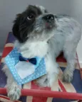 Trapézio