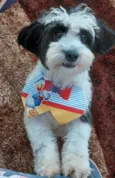 Mickey