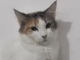 SUSI