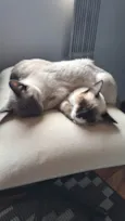 Charlotte e Aurora
