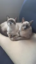 Charlotte e Aurora