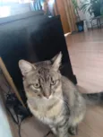 Eduardo