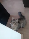 Eduardo