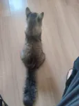 Eduardo
