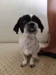 Riana