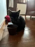 Nyx