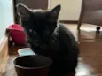 Nyx