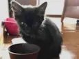 Nyx