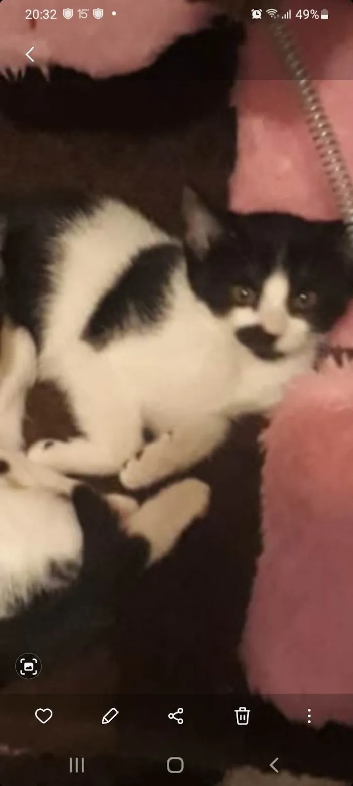 Juju bebe carente e bravinha