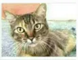 JULLY