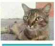 JULLY