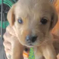 Marley 